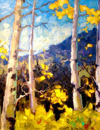 Fall Color - Aspens