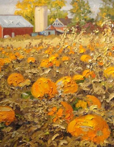 Pumpkins in a Patch