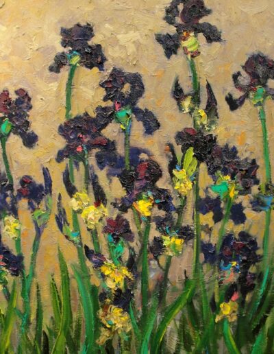 Purple Irises