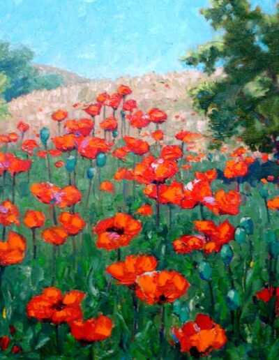 Red Poppy Field