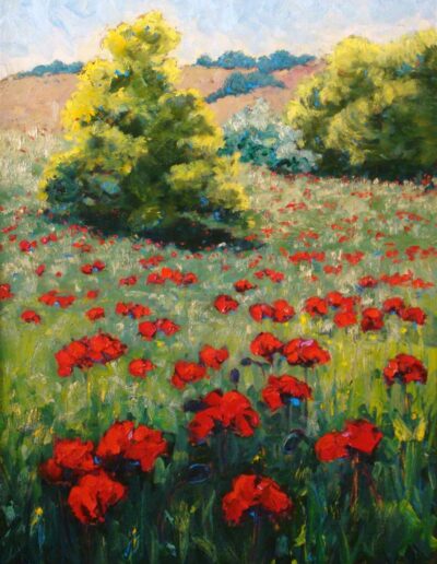 Rocky Mountain Poppies II