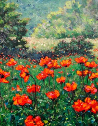 Rocky Mtn Poppies III