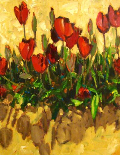 Tulips in Spring