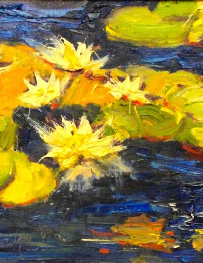 Water Lilies