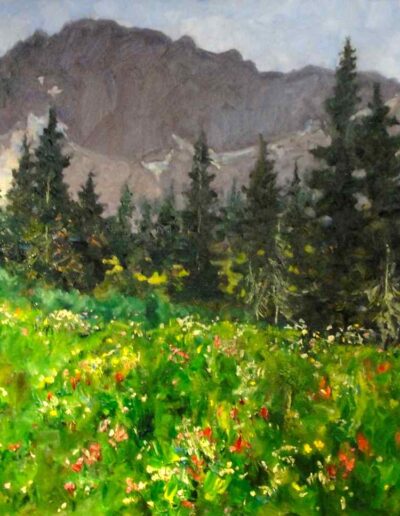 Wildflowers in Albion Basin