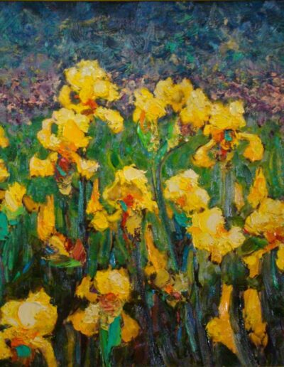 Yellow Iris Field