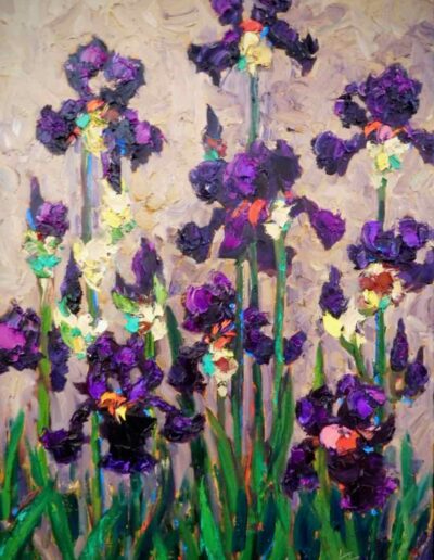 The Art of The Iris