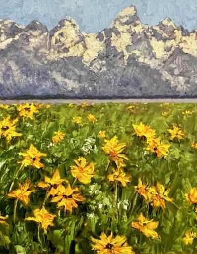 Daisies and Tetons